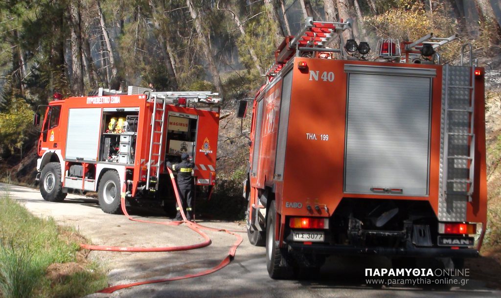 Θεσπρωτία: Και με δυνάμεις από την πυροσβεστική Θεσπρωτίας, η κατάσβεση της πυρκαγιάς στην Εύβοια
