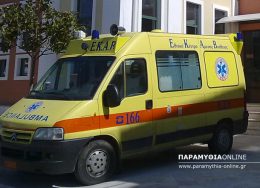 ekav_paramythias_14a-260x188.jpg