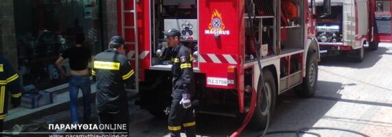 fotia_paramythia_katastima-571x200.jpg