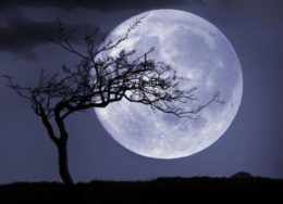fullmoon-260x188.jpg