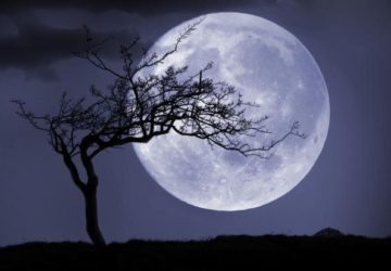 fullmoon-360x250.jpg