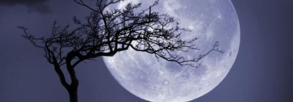 fullmoon-571x200.jpg