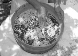 traxanas-50-260x188.jpg