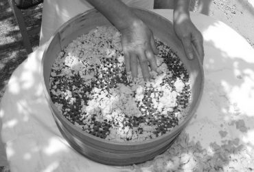 traxanas-50-370x250.jpg