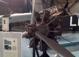 blenheim-paramythia-1-260x188.jpg