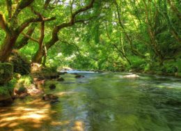 kalamas-river-epirus-greece-4c-260x188.jpg