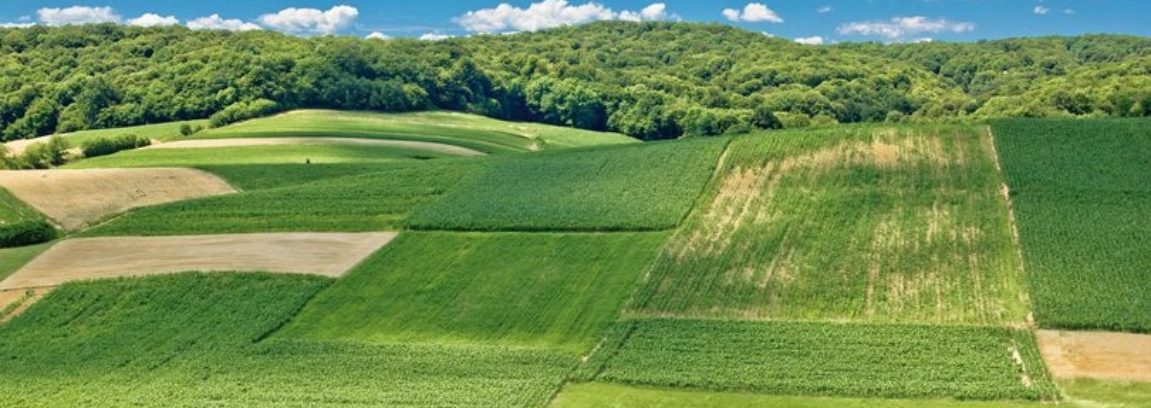 agrotemaxia-dimotika-4-20-1-1151x408.jpg
