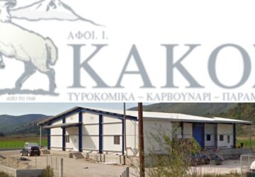 tirokomio-kakos-360x250.jpg