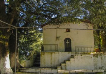 elataria-lampanitsa-paramythias-360x250.jpg