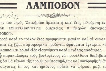 lampovos-1-370x250.jpg