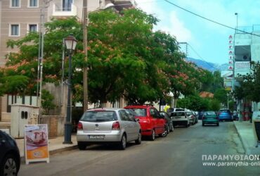 karamanli-paramythia-370x250.jpg
