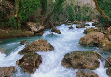 kalamas-360x250.jpg