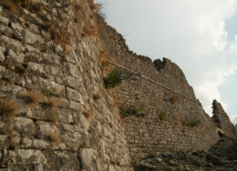 dsc01828il-260x188.jpg