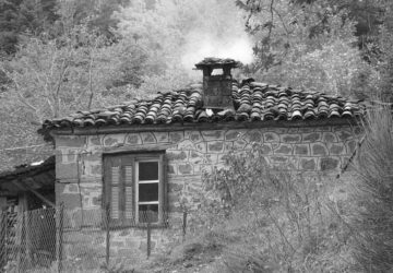 xorio-360x250.jpg