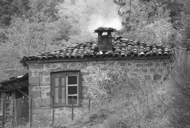xorio-370x250.jpg