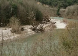 kalamas-980x552-1-260x188.webp