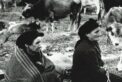 cmd-17-122x82.jpg