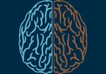 Right_left_brain-360x250.jpg