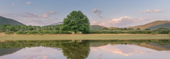 limni-prontani-571x200.jpg